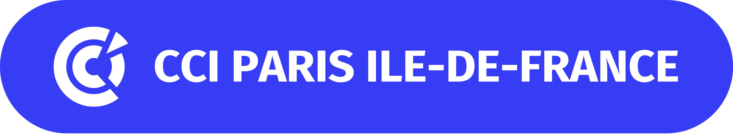 Logo CCI PARIS IDF