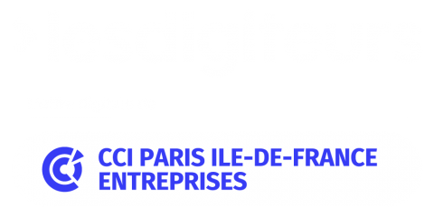 Logo Les Digiteurs